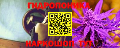 spice Будённовск