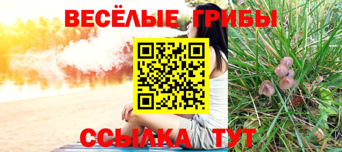 Галлюциногенные грибы MAGIC MUSHROOMS  Вход с VPN  Малоярославец 
