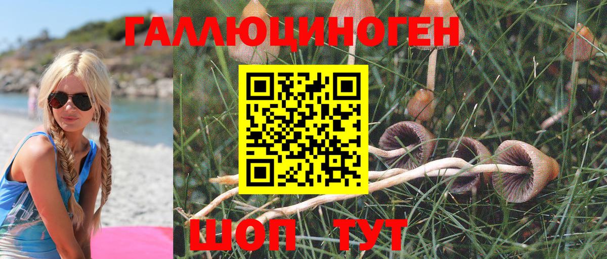 Псилоцибиновые грибы мицелий Малоярославец